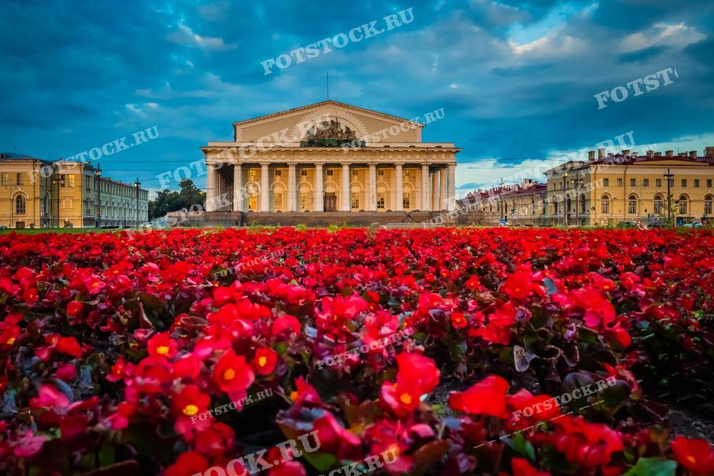На фотографии запечатлено здание Биржи в Санкт-Петербурге, расположенное на Васильевском острове, с ярко-красными цветами на переднем плане. Это фото хорошо подходит для использования в статьях о Санкт-Петербурге, туристических буклетах, образовательных материалах или как украшение для оформления стен.